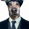popkabobra